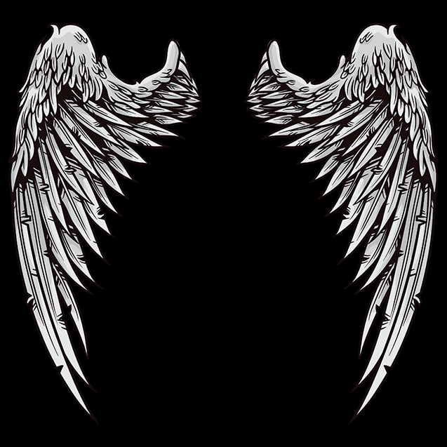 Dark White Angel Wings
