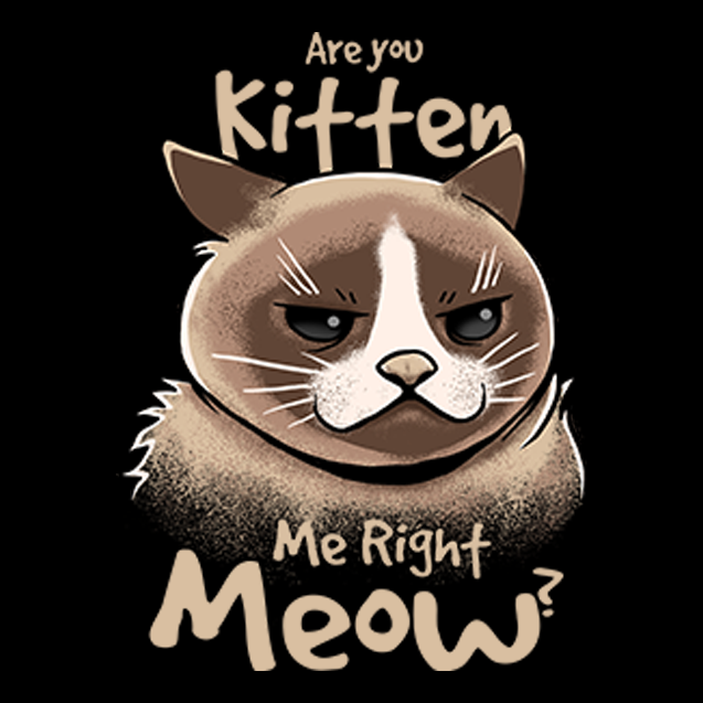 Are You Kitten Me Right Meow