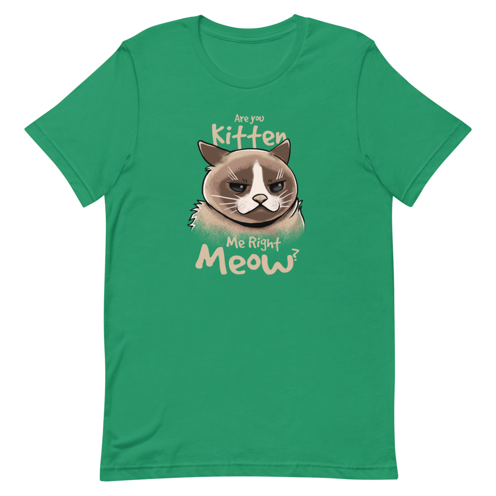 Top Gymboree Right Meow Taille 18-24 Mois - Are You Kitten Me - Neuf Avec étiquettes